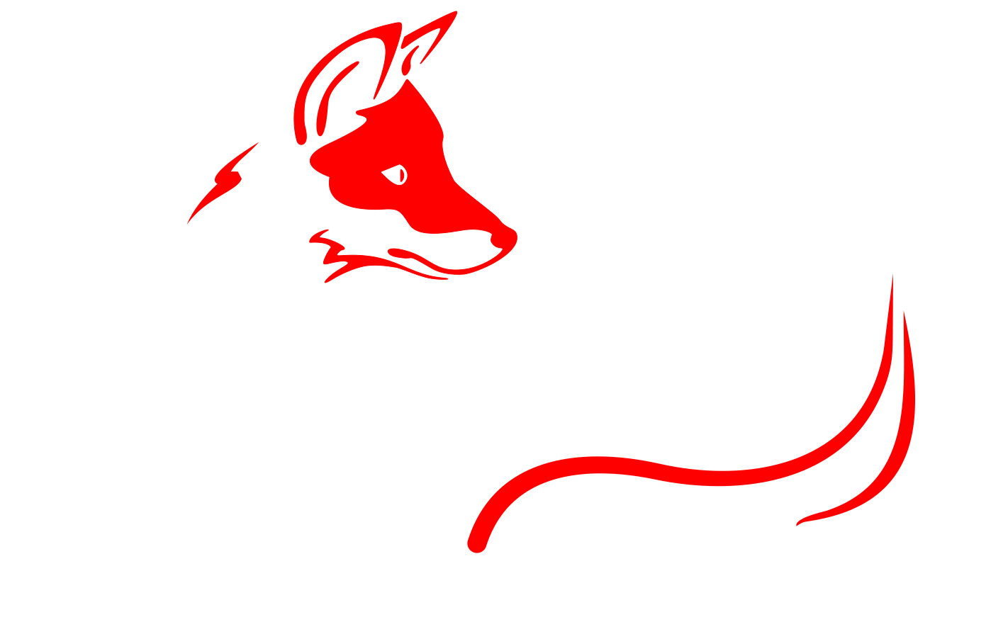 Reisemobilfuchs - Wohnmobilvermietung in Gera